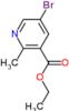 ethyl 5-bromo-2-methylpyridine-3-carboxylate