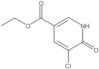 Ethyl 5-chloro-1,6-dihydro-6-oxo-3-pyridinecarboxylate