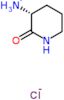 (3R)-2-oxopiperidin-3-aminium chloride