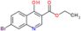 Ethyl 7-bromo-4-oxo-1,4-dihydroquinoline-3-carboxylate