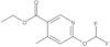 Ethyl 6-(difluoromethoxy)-4-methyl-3-pyridinecarboxylate