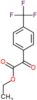 ethyl oxo[4-(trifluoromethyl)phenyl]acetate