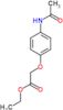 ethyl [4-(acetylamino)phenoxy]acetate