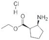 ETHYL CIS-2-AMINO-1-CYCLOPENTANE CARBOXYLATE HYDROCHLORIDE, 99
