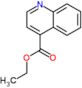 ethyl quinoline-4-carboxylate