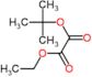 tert-butyl ethyl ethanedioate