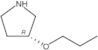 (3R)-3-Propoxypyrrolidine