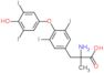 O-(4-hydroxy-3,5-diiodophenyl)-3,5-diiodo-alpha-methyltyrosine