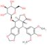 4-Déméthylépipodophyllotoxine 7′-O-β-D-glucopyranoside