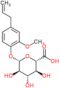 2-methoxy-4-(prop-2-en-1-yl)phenyl beta-D-glucopyranosiduronic acid