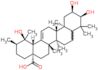 Euscaphic acid