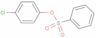 4-Chlorophenyl benzenesulfonate