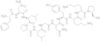 fibroblast growth factor bovine