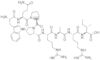fibronectin adhesion-promoting peptide