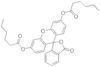 Fluorescein dicaproate