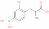 4-borono-2-fluorophenylalanine