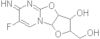 Flurocitabine