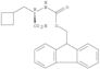 (αR)-α-[[(9H-Fluoren-9-ylmethoxy)carbonyl]amino]cyclobutanepropanoic acid