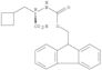 Cyclobutanepropanoicacid, a-[[(9H-fluoren-9-ylmethoxy)carbonyl]amino]-,(aR)-
