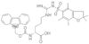 N5-[[[(2,3-Dihydro-2,2,4,6,7-pentaméthyl-5-benzofuranyl)sulfonyl]amino]iminométhyl]-N2-[(9H-fluoré…