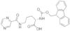 N2-[(9H-Fluoren-9-ilmetoxi)carbonil]-N5-(2-pirazincarbonil)-L-ornitina