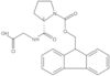 1-[(9H-Fluoren-9-ylmethoxy)carbonyl]-<span class="text-smallcaps">L</span>-prolylglycine