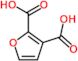 furan-2,3-dicarboxylic acid