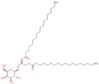 3-(beta-D-galactopyranosyloxy)propane-1,2-diyl dioctadecanoate
