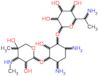 4,6-diamino-3-{[3-deoxy-4-C-methyl-3-(methylamino)pentopyranosyl]oxy}-2-hydroxycyclohexyl 6-amino-6,7-dideoxyheptopyranoside