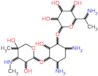 Gentamicin B1