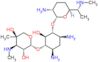 Gentamicin C1