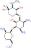 4,6-diamino-3-{[3-deoxy-4-C-methyl-3-(methylamino)pentopyranosyl]oxy}-2-hydroxycyclohexyl 2,6-diamino-2,3,4,6-tetradeoxyhexopyranoside
