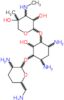 Gentamicin C1a