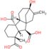 (1alpha,4aalpha,4bbeta,7beta,10beta)-7-hydroxy-1-methyl-8-methylidenegibbane-1,4a,10-tricarboxylic acid
