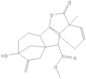 gibberellin A5 methyl ester