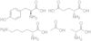 Acido L-glutammico, polimero con L-alanina, L-lisina e L-tirosina, acetato (sale)