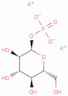 glucose 1-(dipotassium phosphate)