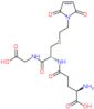 L-γ-Glutamyl-S-[2-(2,5-dihydro-2,5-dioxo-1H-pyrrol-1-yl)ethyl]-L-cysteinylglycine