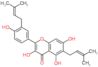 3,5,7-trihydroxy-2-[4-hydroxy-3-(3-methylbut-2-en-1-yl)phenyl]-6-(3-methylbut-2-en-1-yl)-4H-chrome…