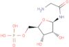 Glycinamide ribonucleotide