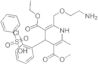 (+)-Amlodipine