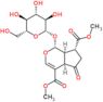 dimethyl (1R,4aR,7R,7aR)-1-(beta-D-glucopyranosyloxy)-5-oxo-1,4a,5,6,7,7a-hexahydrocyclopenta[c]pyran-4,7-dicarboxylate