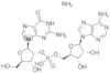 guanylyl(2'->5')adenosine ammonium