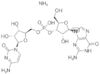 guanylyl(3'-5')cytidine ammonium