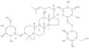 Gypenoside XVII