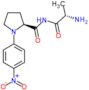 N-[(2S)-2-aminopropanoyl]-1-(4-nitrophenyl)-L-prolinamide