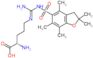 (E)-N~5~-(amino{[(2,2,4,6,7-pentamethyl-2,3-dihydro-1-benzofuran-5-yl)sulfonyl]amino}methylidene)-L-ornithine