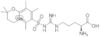 N5-[[[(3,4-Dihydro-2,2,5,7,8-pentamethyl-2H-1-benzopyran-6-yl)sulfonyl]amino]iminomethyl]-L-ornith…