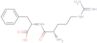 N~5~-(diaminomethylidene)ornithylphenylalanine