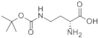 (2R)-2-Amino-4-[[(1,1-dimethylethoxy)carbonyl]amino]butanoic acid